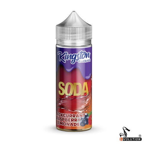 Kingston Soda - 100ml (6977611825310)