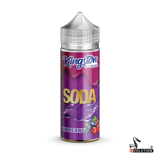 Kingston Soda - 100ml (6977611825310)